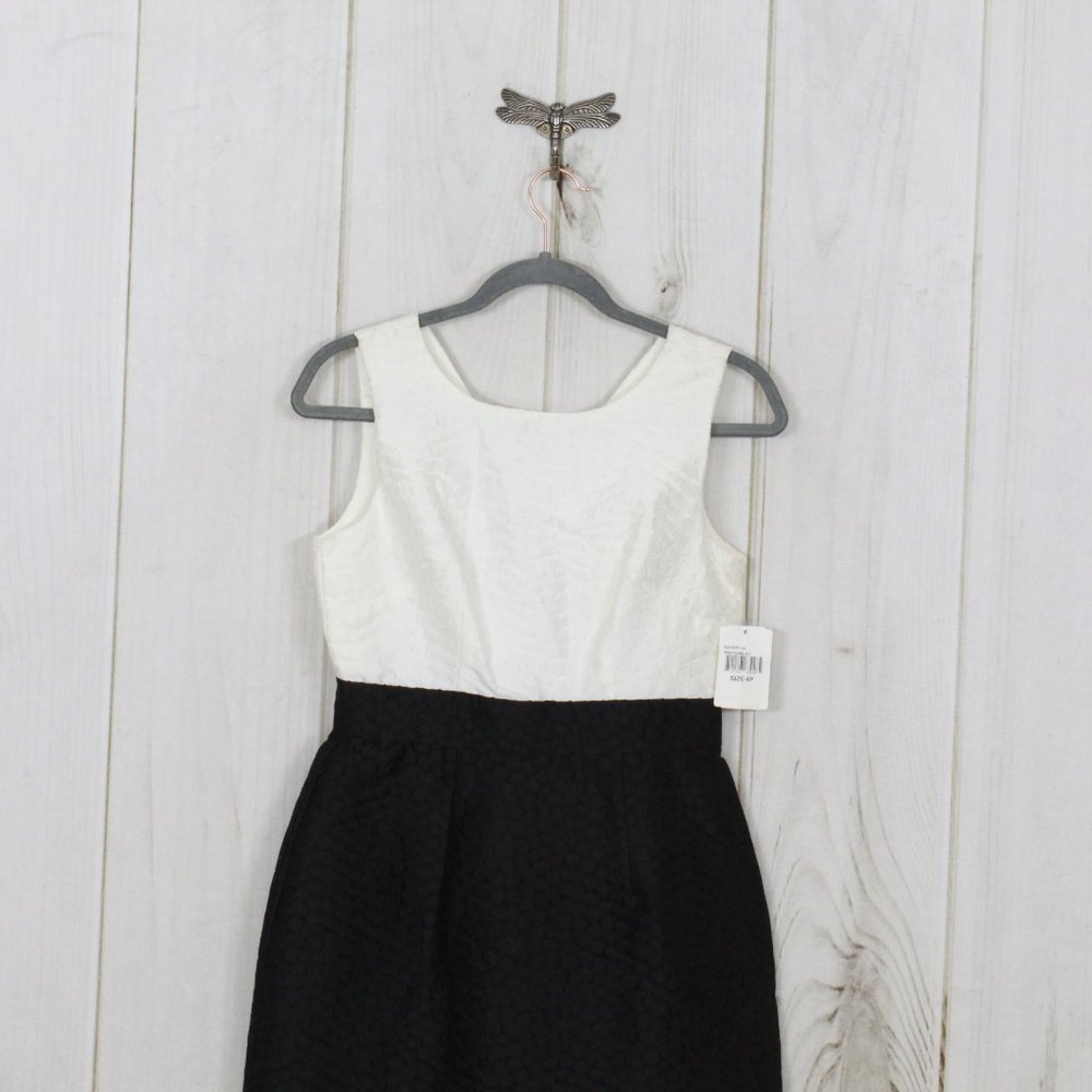 NWT! Ivy + Blue Maggy Boutique Black White Back Zip Textured Combo Dress Size 4P - Picture 2 of 12